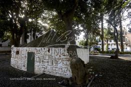 Image du Maroc Professionnelle de  Le sanctuaire du saint Sidi Bousmara est visité depuis longtemps par tous ceux qui sont atteint de la rage convergent vers ce lieu avec leurs offrandes et plante un clou sur l’arbre, ou sur le mur Est dans l’espoir d’une guérison. La légende raconte qu’un vieux pèlerin à la barbe blanche drapé de blanc frappa alors le sol avec son bâton et une source jaillit du sol. Il s’installe à Casablanca au milieu du cimetière et plante un caoutchouc qui devint rapidement gigantesque. Jeudi 13 Octobre 2016. (Photo / Abdeljalil Bounhar) 